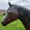 Life Size Arab Horse Model
