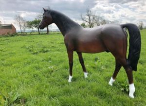 Life Size Arab Horse Model