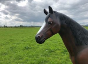 Life Size Arab Horse Model