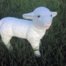 Life Size Model Baby Lamb Standing Small