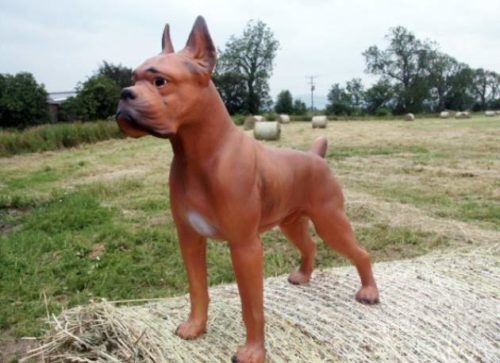 Fibreglass Resin Boxer Dog Model