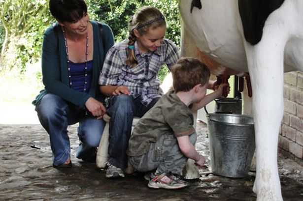 Kids milking 3D model cow at Gibside