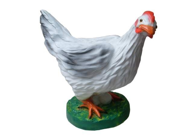 Model Large White Hen