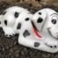 Dalmation Puppy Dog Lying Model