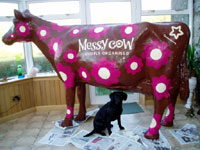Superdrug Messy Cow