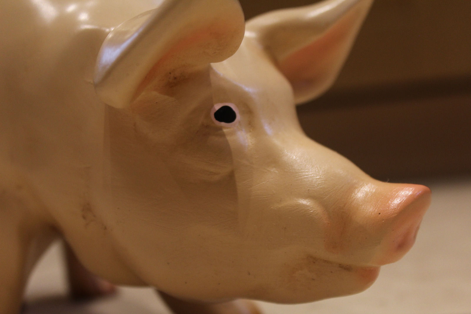 3D Mini Pig Model