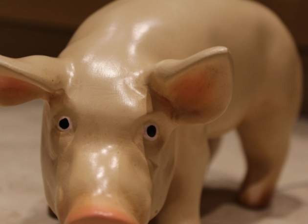 3D Model Mini Pig
