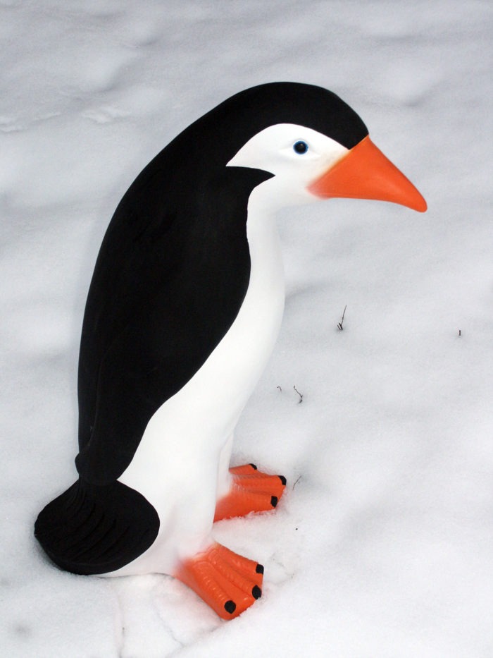3D Model Penguin standing in the Snow