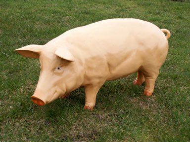 3D Life Size Sow Pig Model
