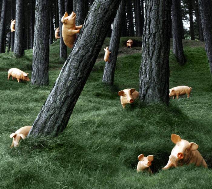 3D Model Piglets in the forest