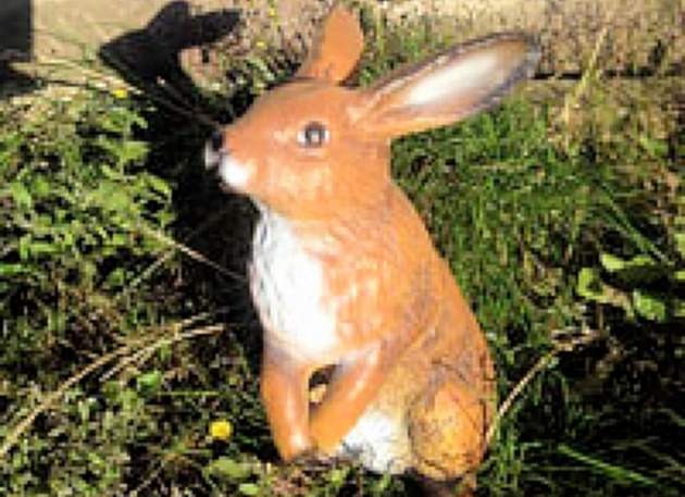 Life Size Model Rabbit