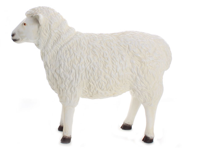 Sheep Model Statue Facing Forward