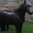 Life Size Shetland Pony Model