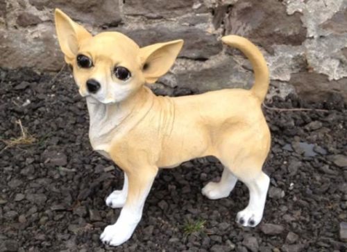 Life Size Model Chihuahua Dog