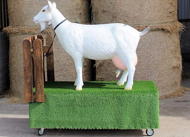 Moveable Stand for Milking Nanny Goat Model - Life Size Model Animals for  sale online - Horn Imports