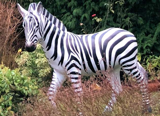 Life Size 3D Model Zebra