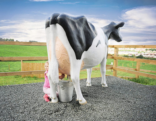 Life Size 3D Model Milking Cow