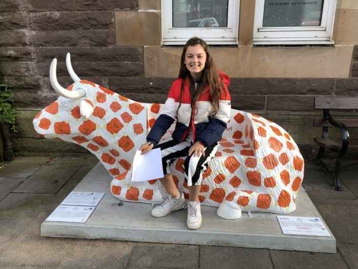 Life Size Highland Cow Bench Model