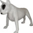 Bull Terrier Dog Model