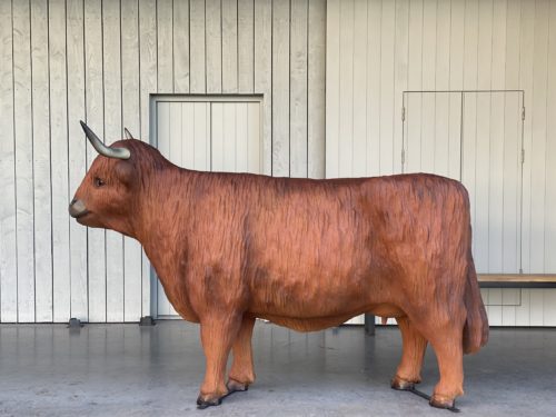 Life Size 3D Fibreglass Highland Cow Standing Model Statue