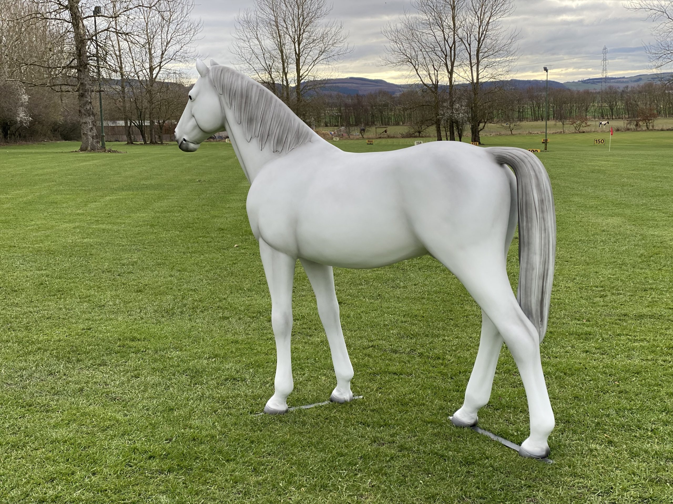 Grey life‑size fibreglass riding pony model standing in a natural pose.