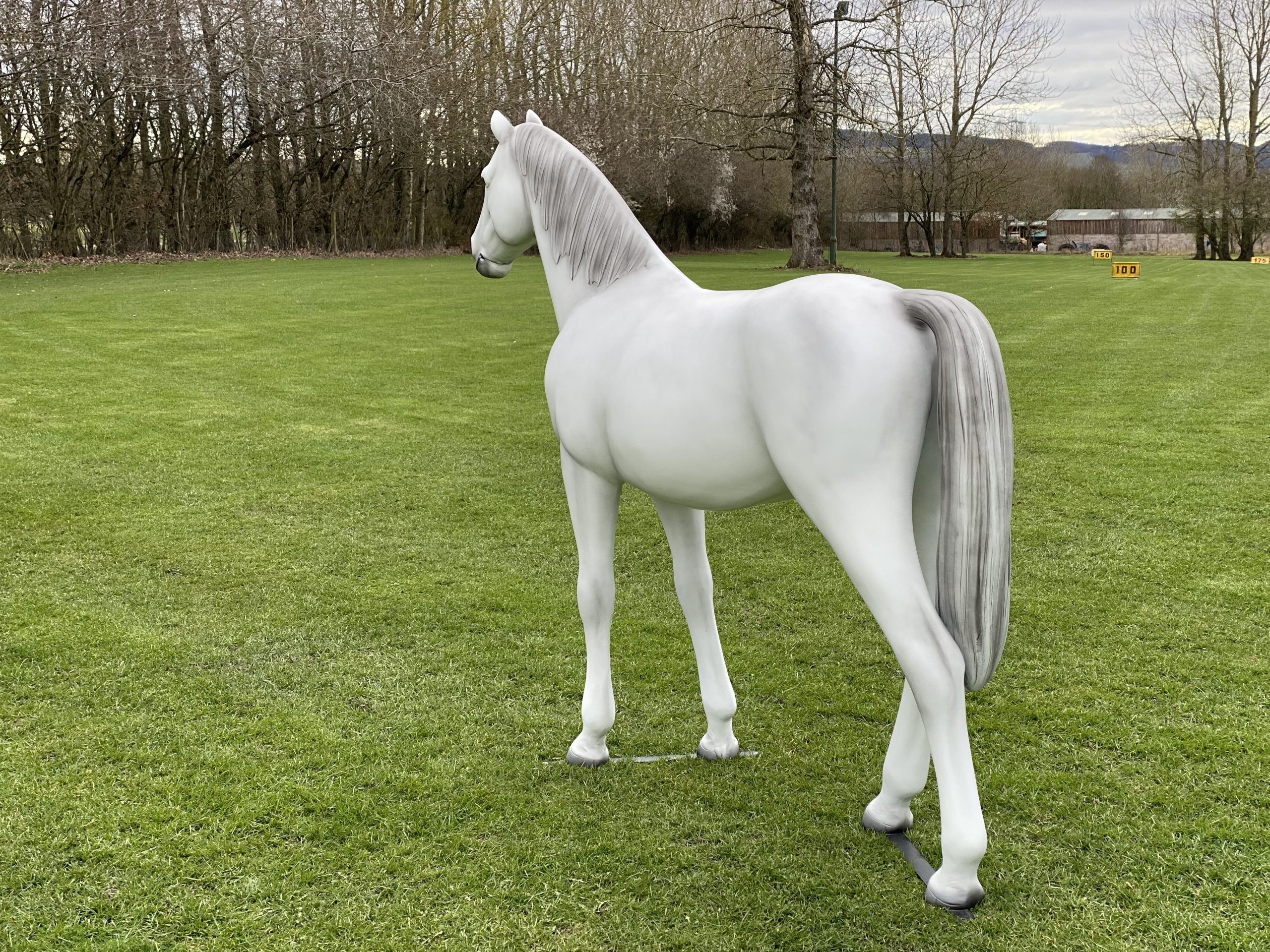 Grey life‑size fibreglass riding pony model standing in a natural pose.