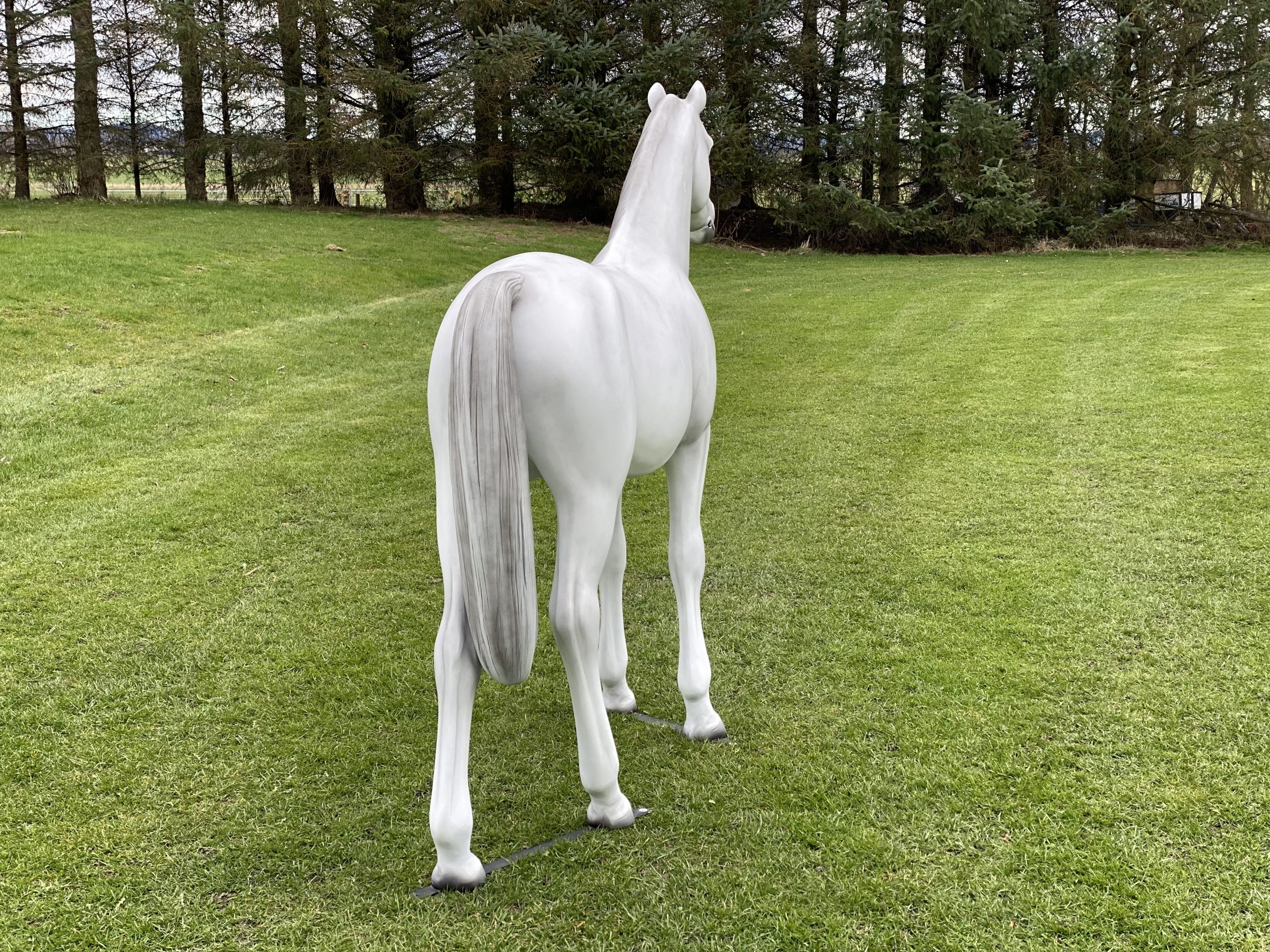 Grey life‑size fibreglass riding pony model standing in a natural pose.