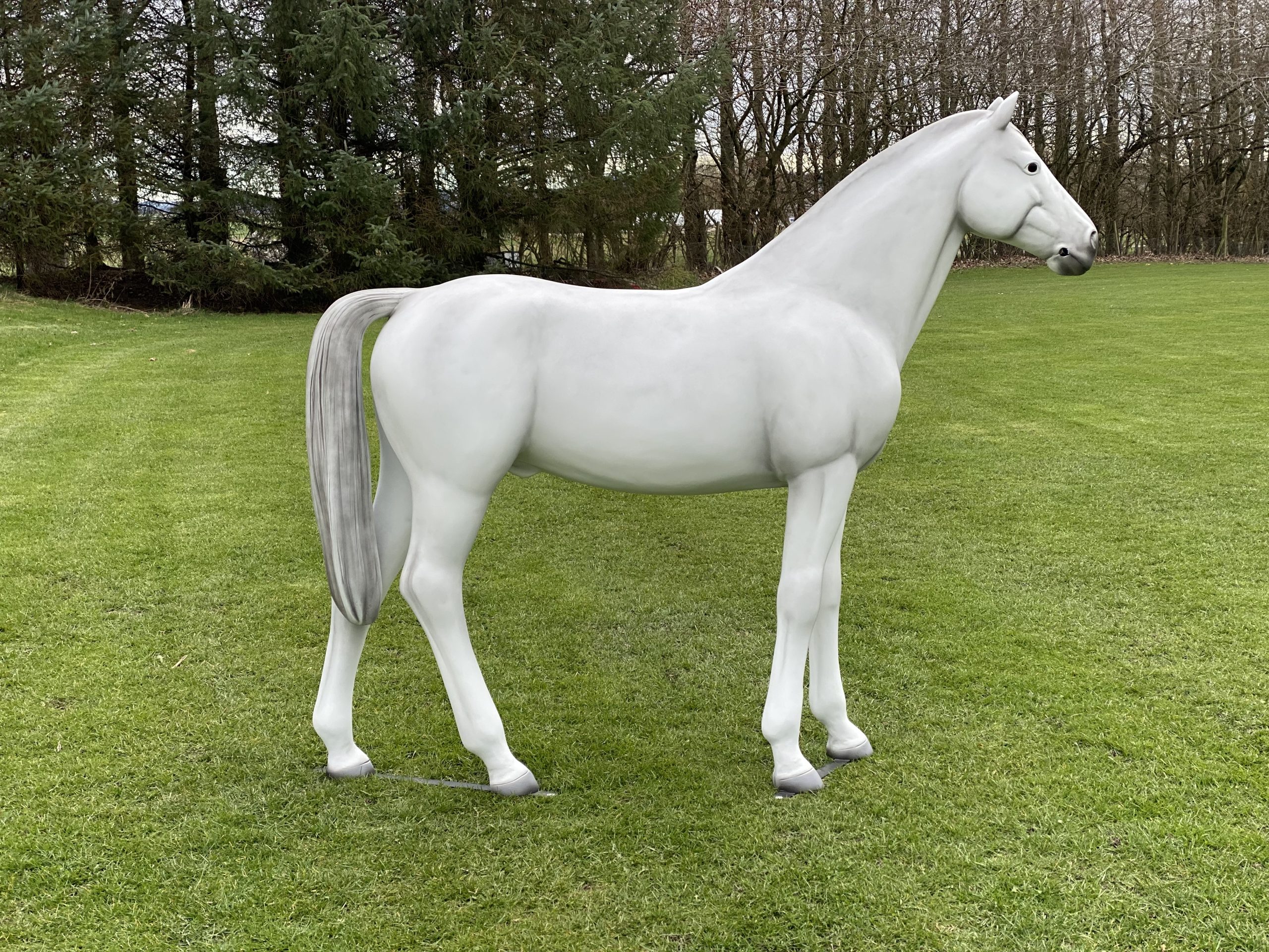 Grey life‑size fibreglass riding pony model standing in a natural pose.