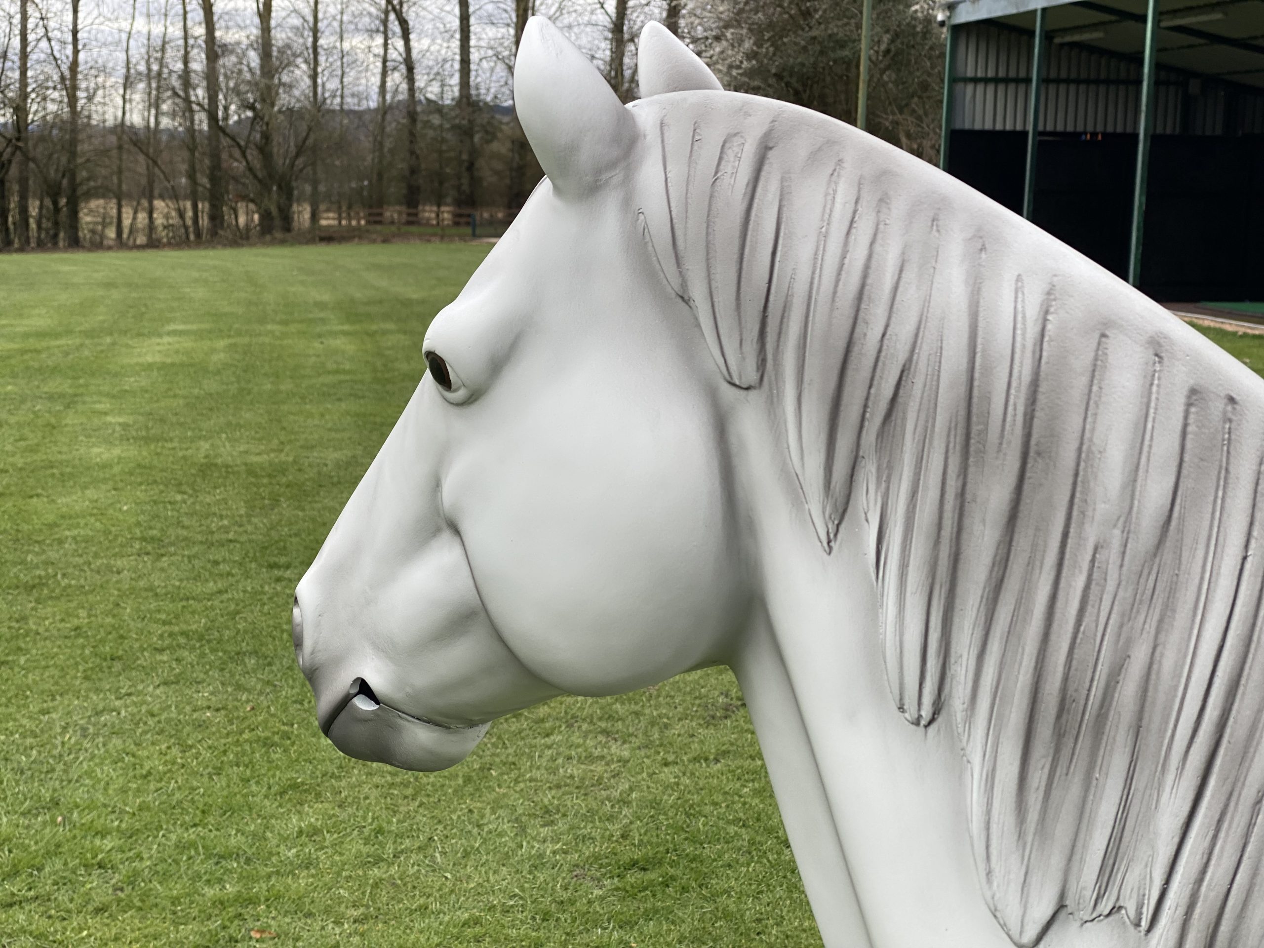Grey life‑size fibreglass riding pony model standing in a natural pose.
