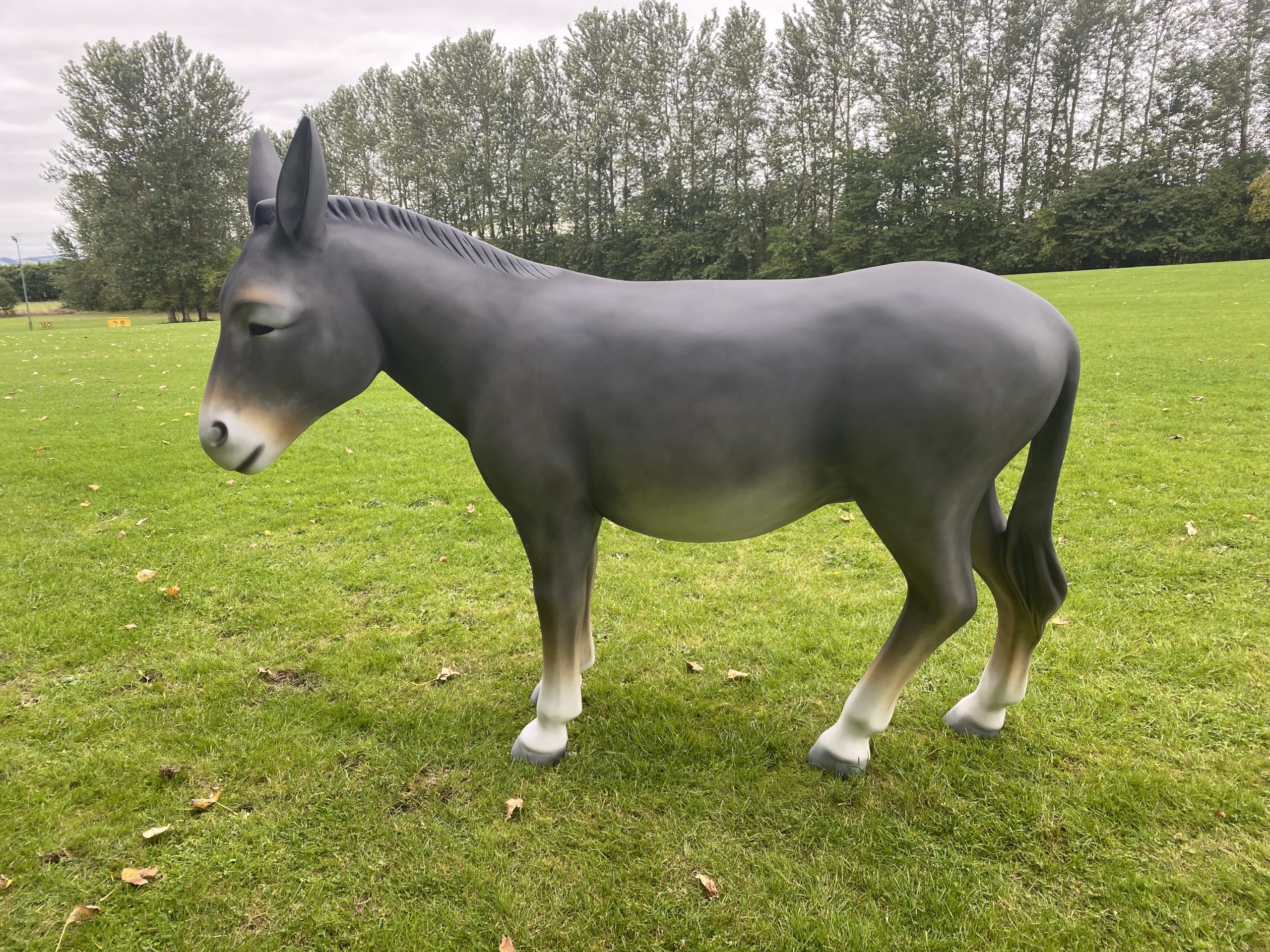 Large 3D donkey model in a field