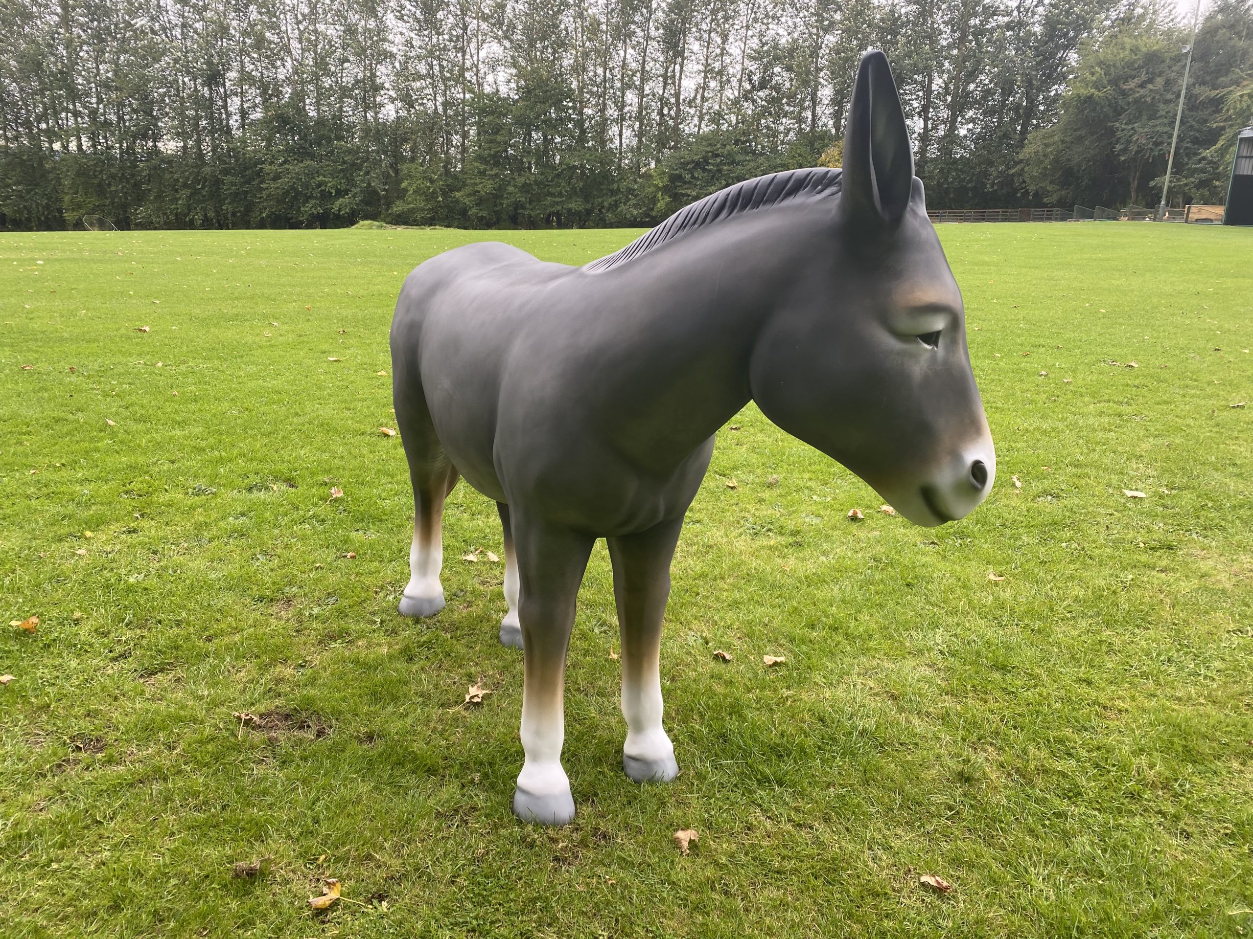 Large 3D donkey model in a field
